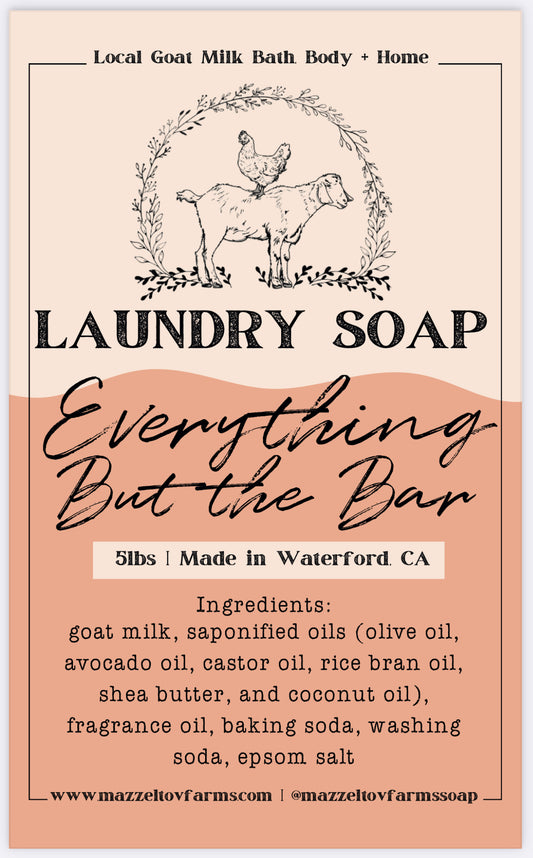 5lb Everything but the Bar - Laundry Soap