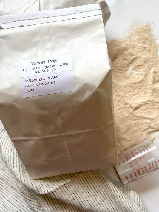 Organic Whole Wheat Flour