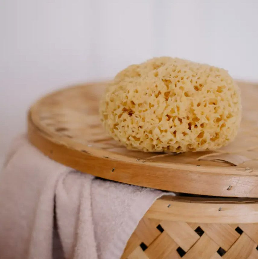 Sea Sponge – Mazzeltov Farms Soap