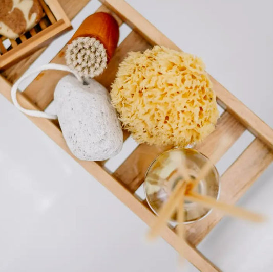 Sea Sponge