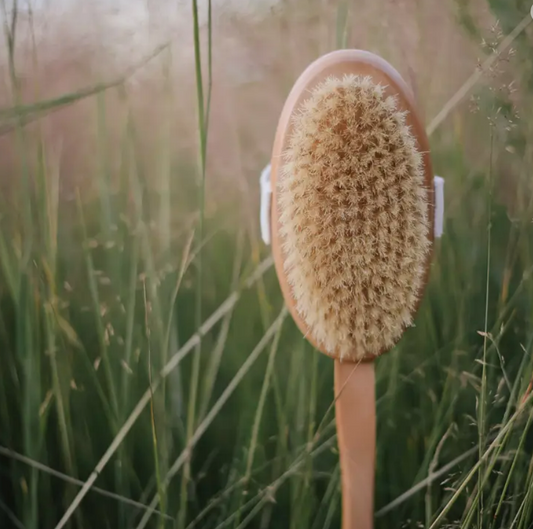 Wooden Body Brush